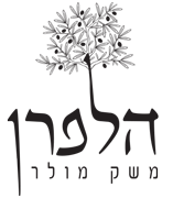 שמן זית