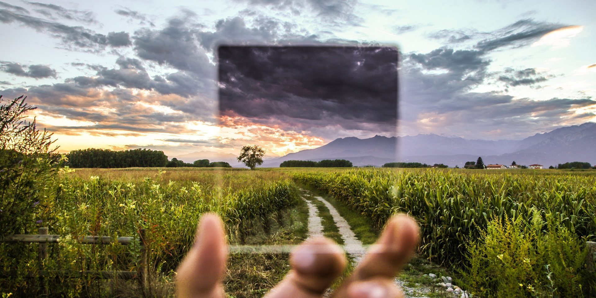landscape-nature-hand-field